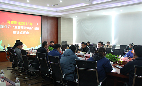 河套街道召開安全生產“雙重預防體系”創(chuàng)建現(xiàn)場點評會議